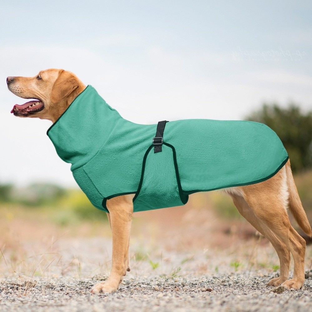 無地の暖かい冬用犬服、防風ハイネック犬用不安軽減ベスト、厚手 - Dog Anxiety Vest のレビューと価格