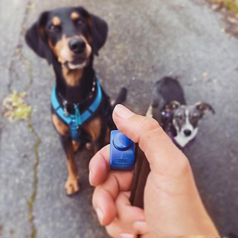 【F】新しいリングクリッカーペットミニフィンガークリッカー訓 - Training Clicker Dog のレビューと価格