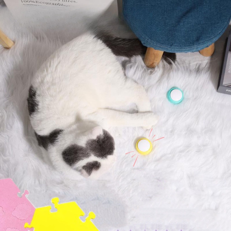 ペットコミュニケーション犬トークボタンマットトレーニングポジ - Training Clicker Dog のレビューと価格