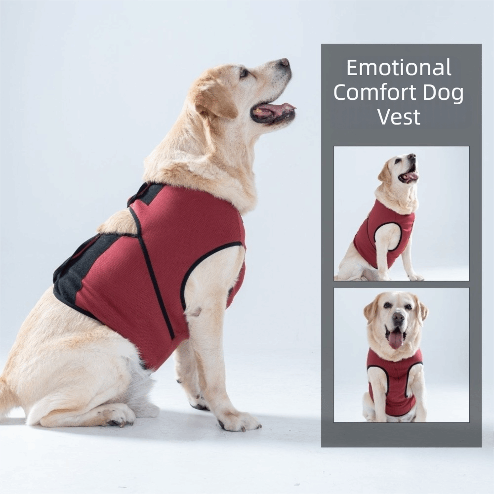 実用的な通気性のある犬用鎮静ベスト、調節可能な快適な犬用落ち - Dog Anxiety Vest のレビューと価格