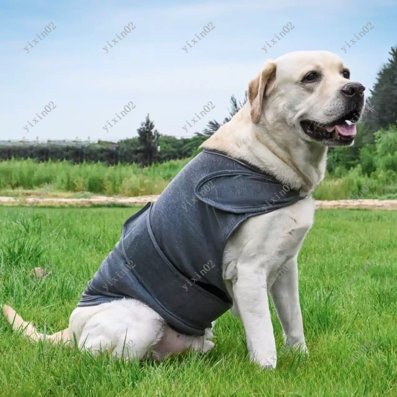 クラシックな通気性のある犬用不安軽減ジャケット、落ち着かせる - Dog Anxiety Vest のレビューと価格