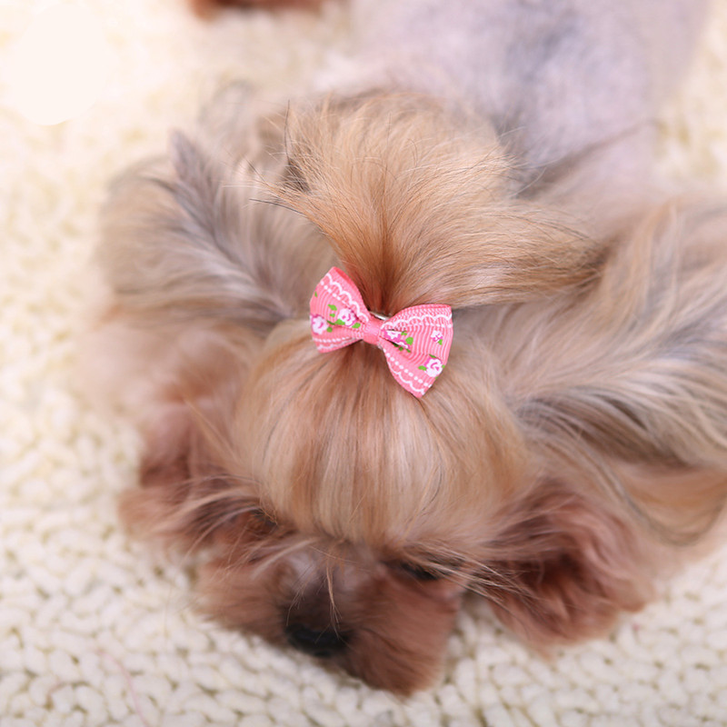 犬のための素敵なヘアクリップ,子猫,かわいい,綿の蝶,花,ウ - Pet Supplies York のレビューと価格