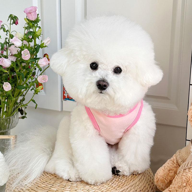 漫画犬服ノースリーブプルオーバーパーカー小型犬用プードルヨー - Pet Supplies York のレビューと価格