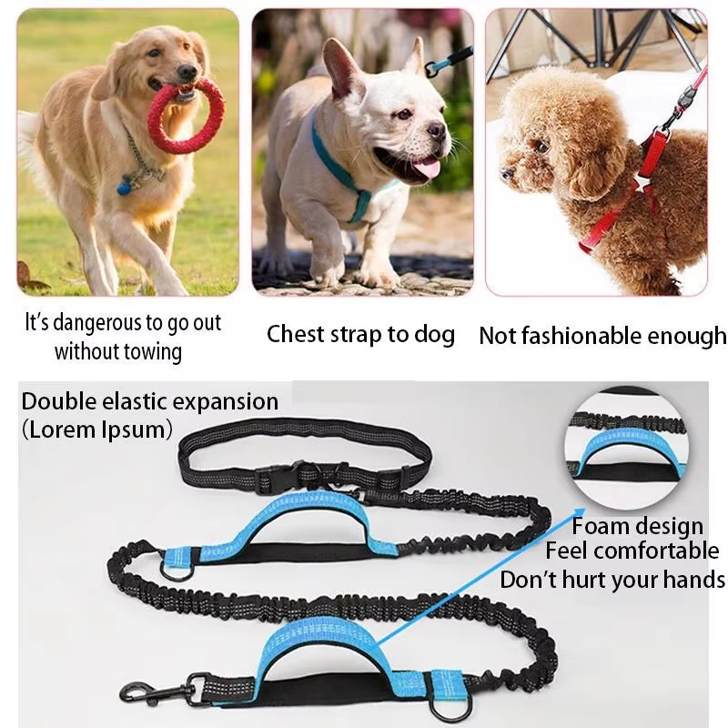 二重弾性反射ランニングリーシュ携帯用伸縮式犬用リーシュ犬用チ - Pet Supplies App のレビューと価格