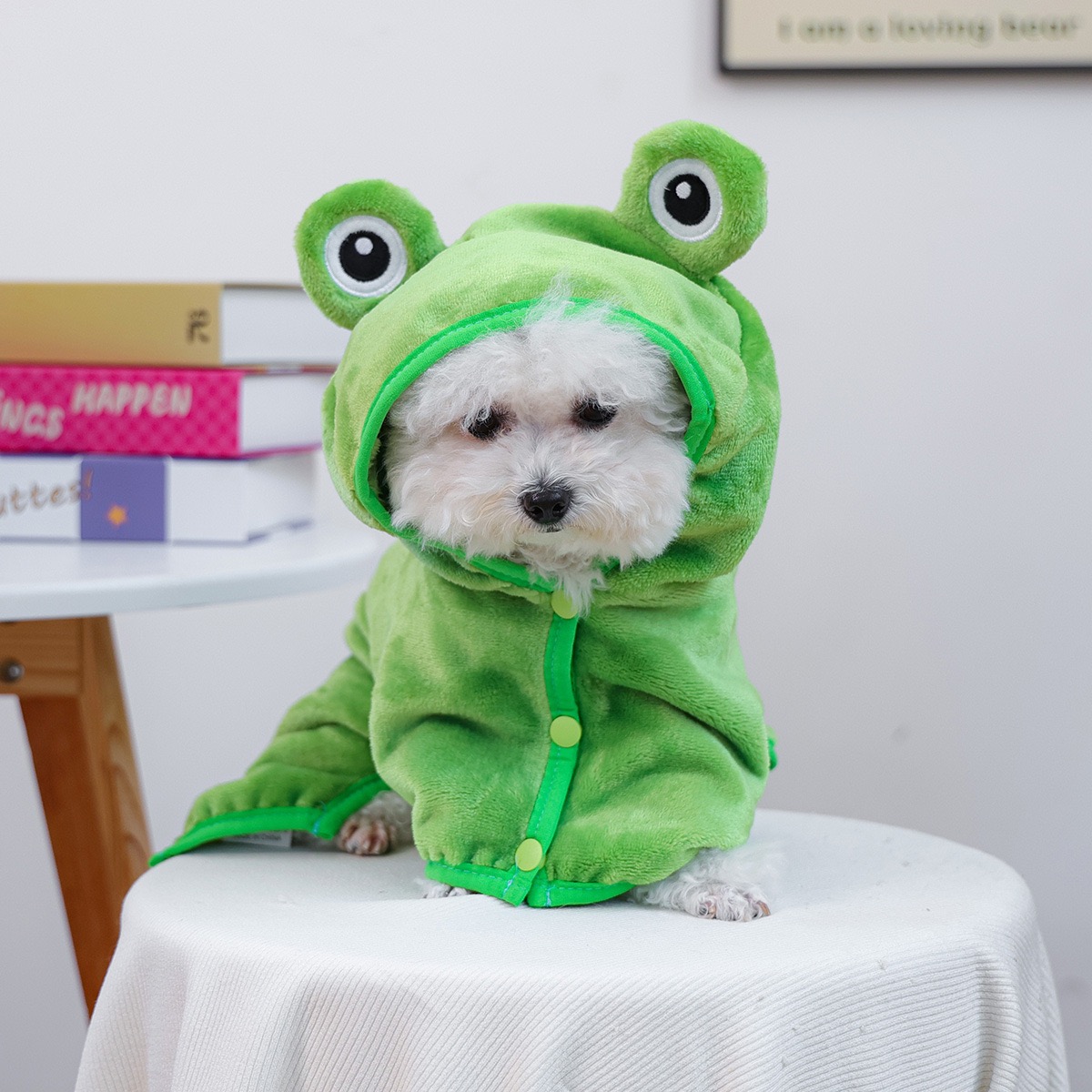 カエルキャップワンピース犬用マントパーカー室内通気性タオル服 - Pet Supplies York のレビューと価格