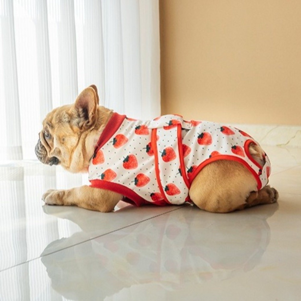 ユニバーサル通気性犬用回復スーツ 暖かく快適なフィット感 犬 - Dog Anxiety Vest のレビューと価格