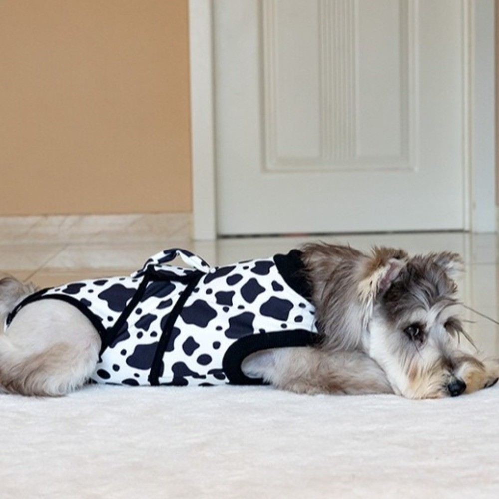 ユニバーサル通気性犬用回復スーツ 暖かく快適なフィット感 犬 - Dog Anxiety Vest のレビューと価格