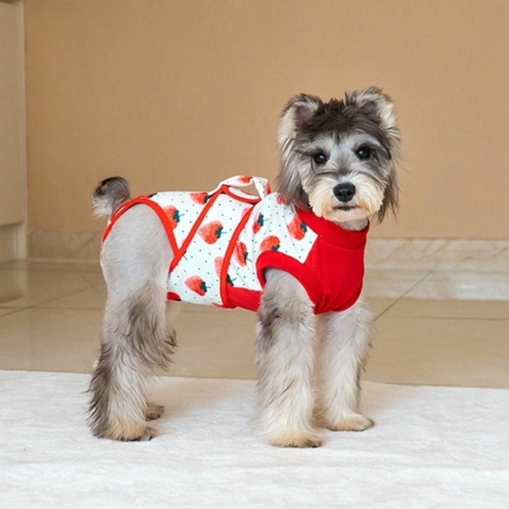 通気性のある犬用回復スーツ、高弾性、保温性、舐め防止保護服、 - Dog Anxiety Vest のレビューと価格