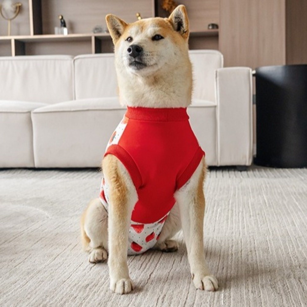 通気性のある犬用回復スーツ、高弾性、保温性、舐め防止保護服、 - Dog Anxiety Vest のレビューと価格