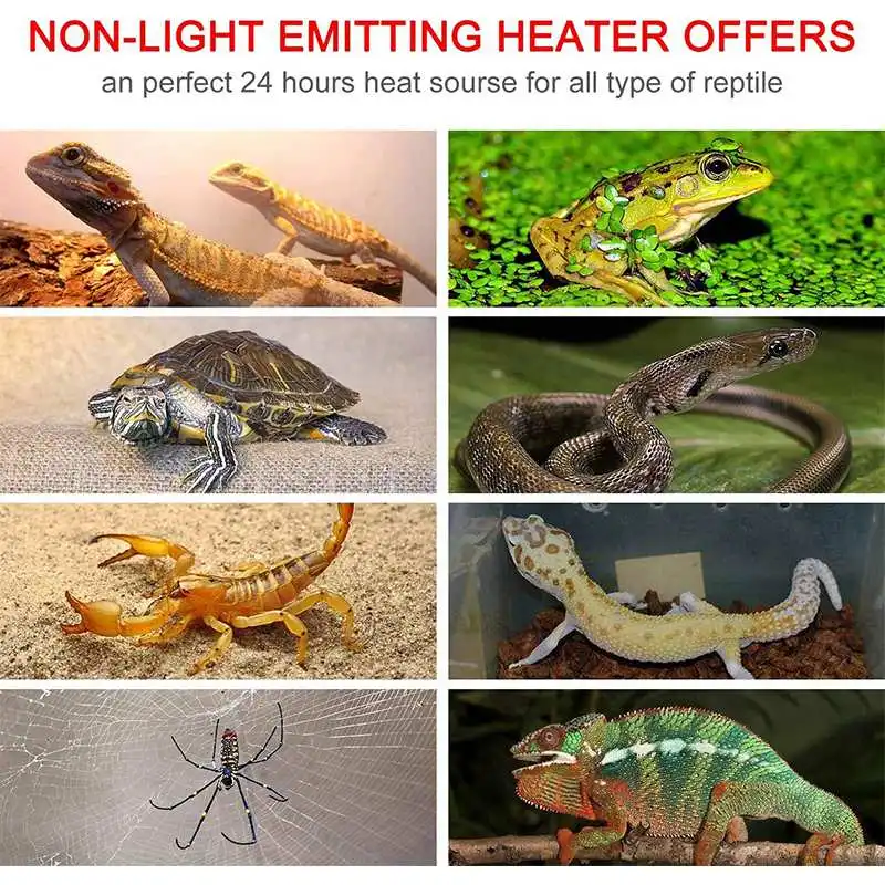 5W-20W 110V 加熱ウォームパッド、爬虫類飼育用テラ - Reptile Heating Mat のレビューと価格