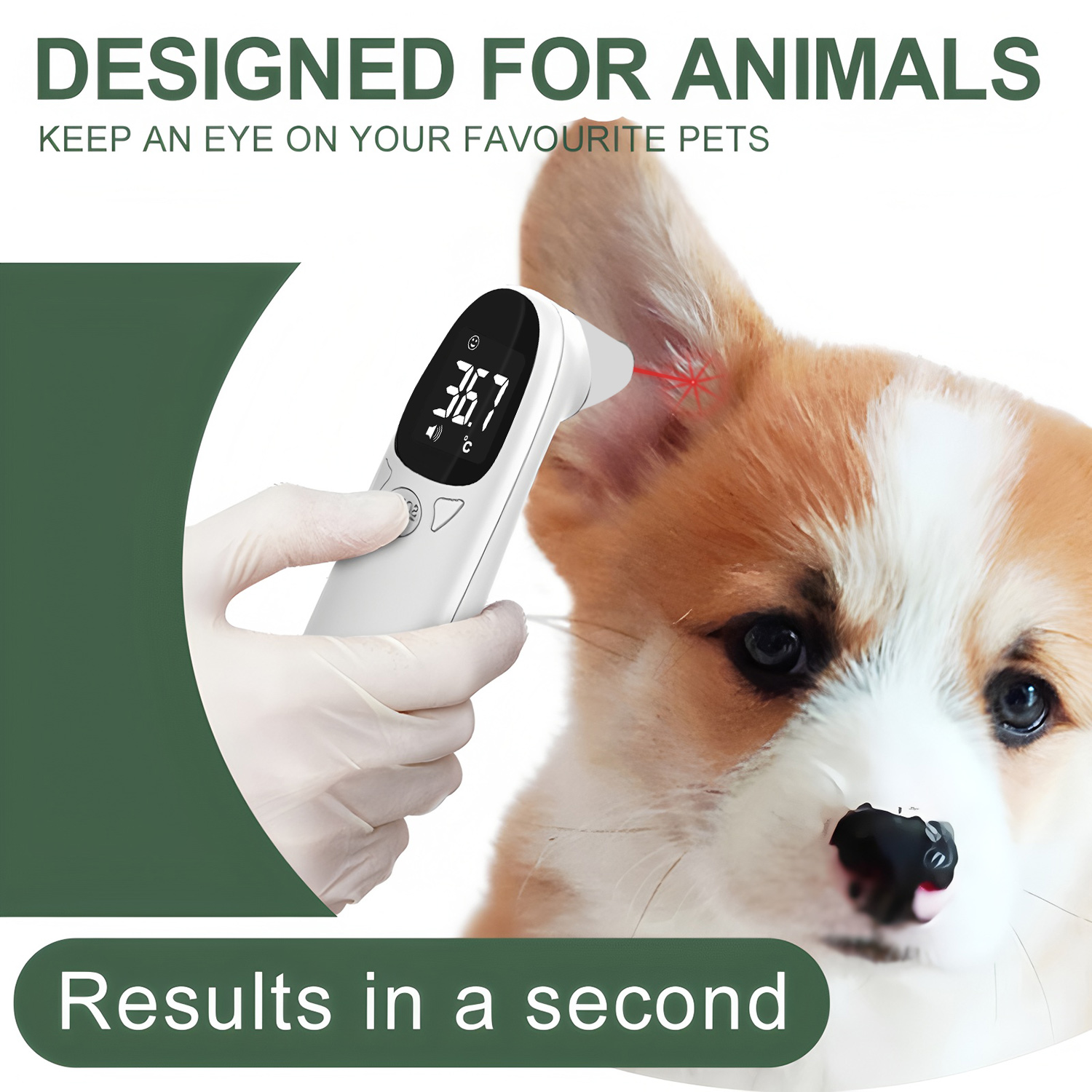 ペット耳用デジタル体温計非接触電子温度測定器犬猫子犬獣医用品 - Pet Supplies Warehouse のレビューと価格