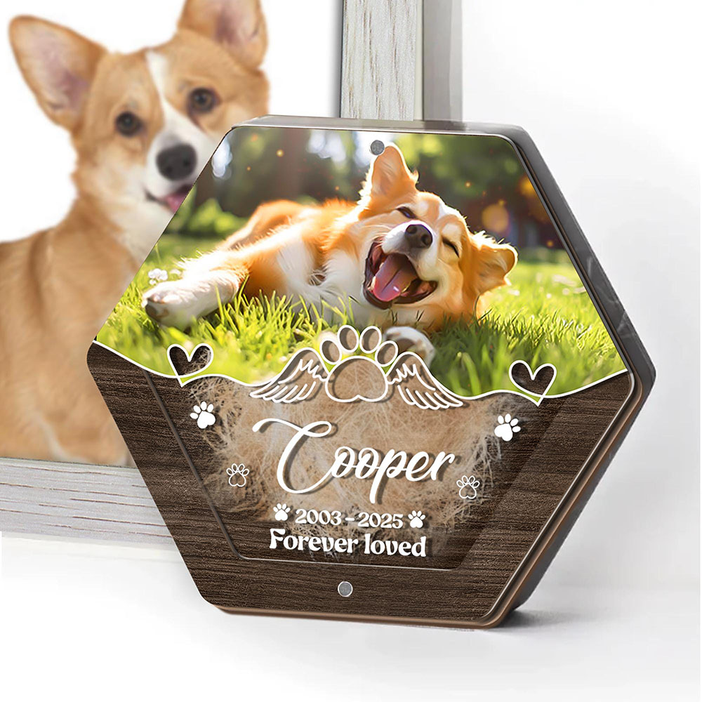 パーソナライズネーム木製彫刻ペットヘア収納ボックスペット用品 - Pet Supplies Warehouse のレビューと価格