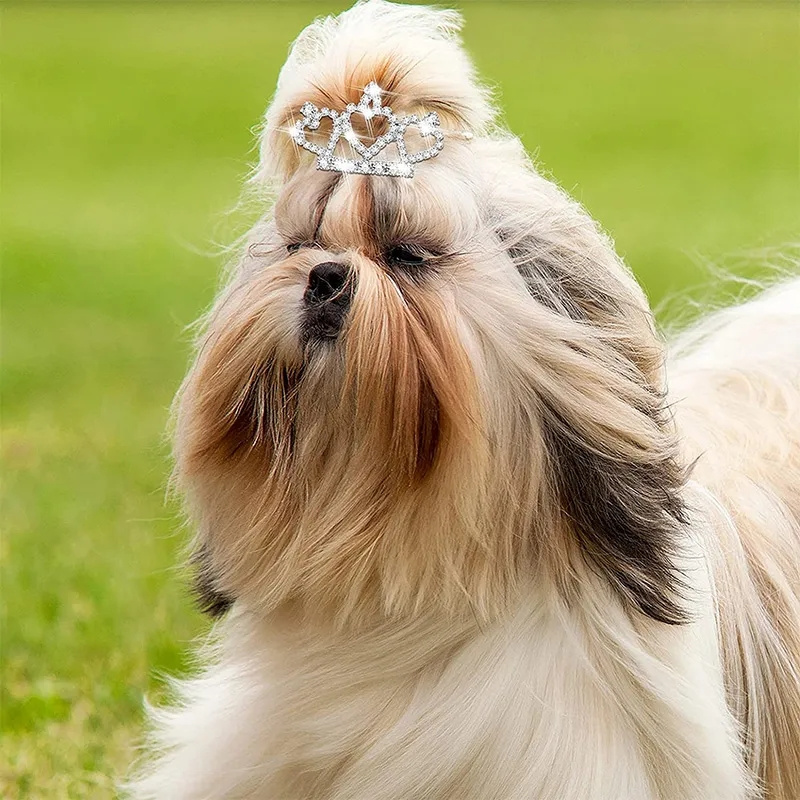 繊細なクリスタルの犬のヘアピン,ラインストーンクラウン,猫の - Pet Supplies York のレビューと価格