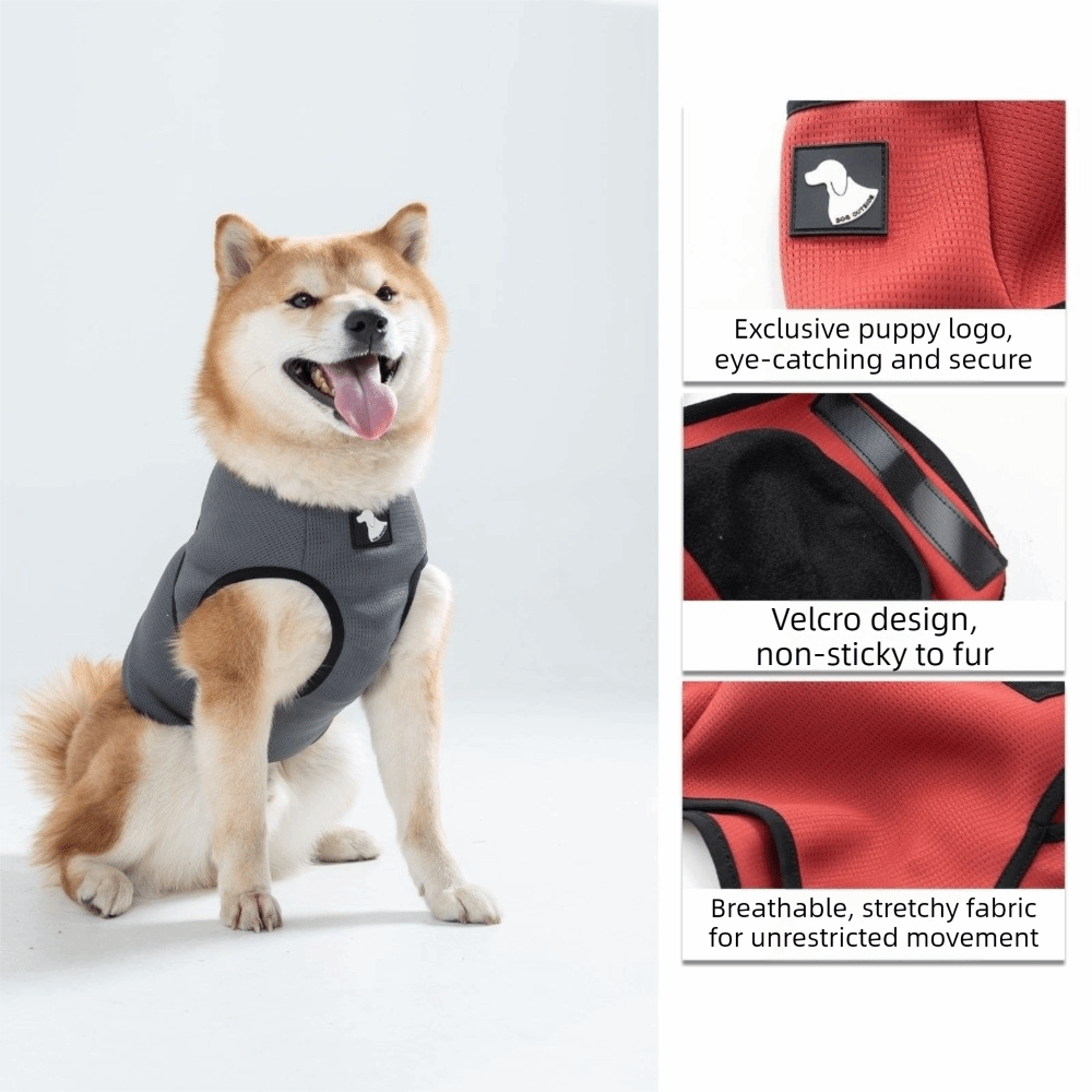 ペット用快適服　通気性のある犬用 calming ベスト　調 - Dog Anxiety Vest のレビューと価格