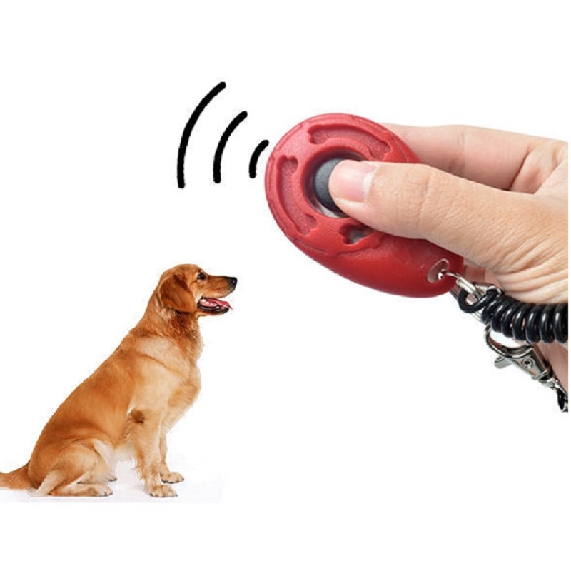 調節可能なリストバンドペットトレーニングクリッカーポータブル - Training Clicker Dog のレビューと価格