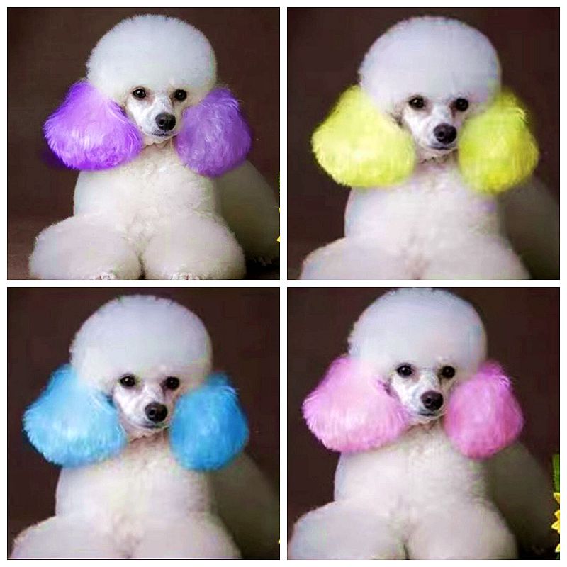 半永久的なペット染料クリーム、高着色、犬の髪、明るい着色、d - Pet Supplies App のレビューと価格