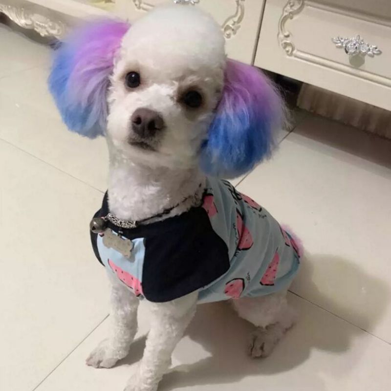半永久的なペット染料クリーム、高着色、犬の髪、明るい着色、d - Pet Supplies App のレビューと価格