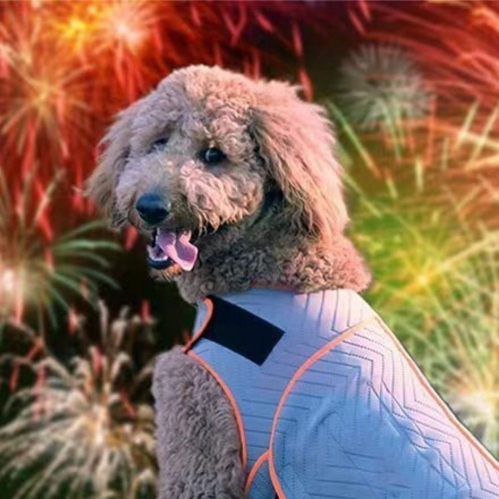犬用コート 弾性犬用不安解消ジャケット 反射素材 肌に優しい - Dog Anxiety Vest のレビューと価格