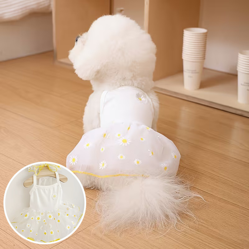 夏薄い子犬プリンセススカート犬服かわいいペット犬ドレス小型犬 - Pet Supplies York のレビューと価格