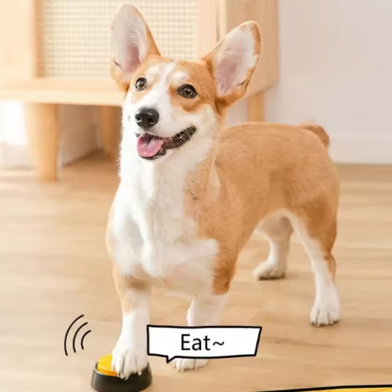 犬のコミュニケーションボタン ペットトレーニング用音声録音ボ - Training Clicker Dog のレビューと価格