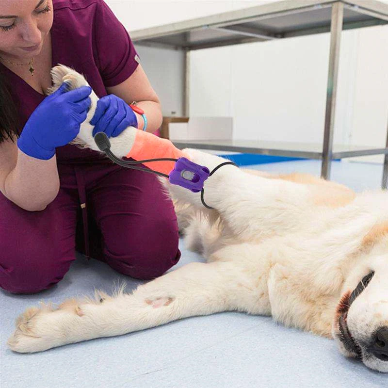 2026 プラスチック製ペット止血帯動物脈拍圧力バンド用品安 - Pet Supplies App のレビューと価格
