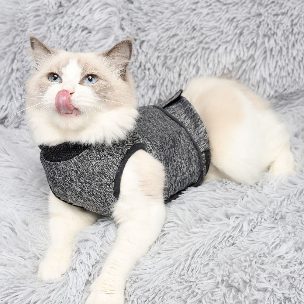 調節可能な猫用落ち着かせるベスト、伸縮性があり通気性のある不 - Dog Anxiety Vest のレビューと価格