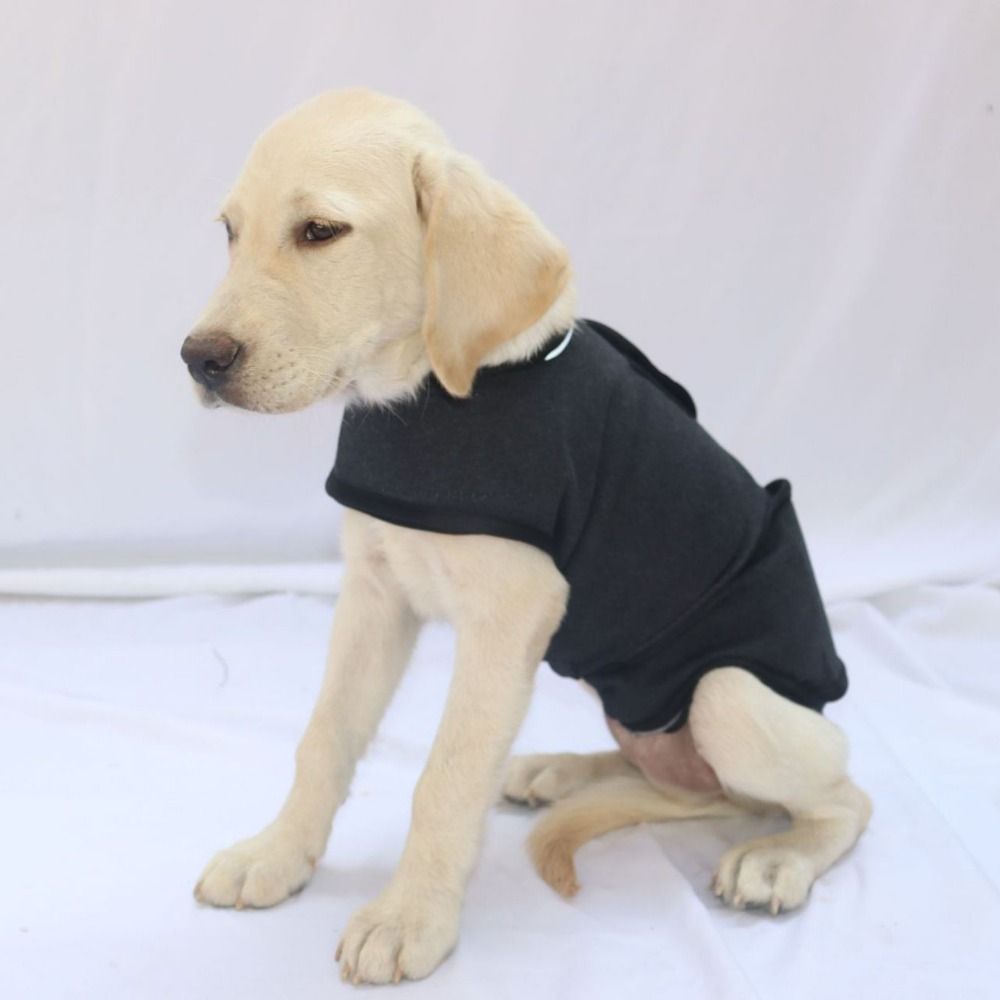 ペット用暖かいベスト、通気性のある犬用不安軽減ジャケット、快 - Dog Anxiety Vest のレビューと価格