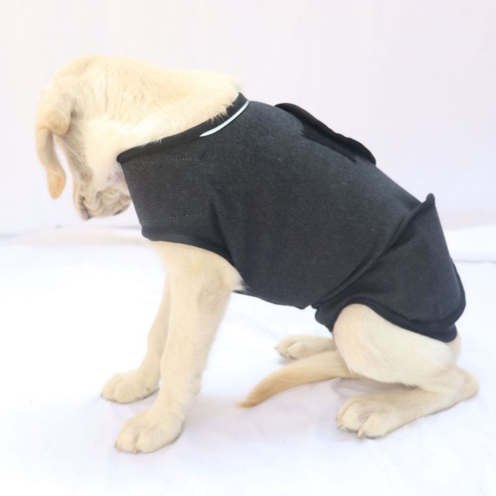 ペット用暖かいベスト、通気性のある犬用不安軽減ジャケット、快 - Dog Anxiety Vest のレビューと価格