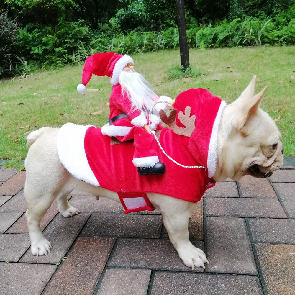 冬の新年ペットコスチューム クリスマス猫犬服 フレンチブルド - Pet Supplies York のレビューと価格