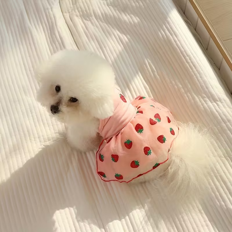 夏薄い子犬プリンセススカート犬服かわいいペット犬ドレス小型犬 - Pet Supplies York のレビューと価格